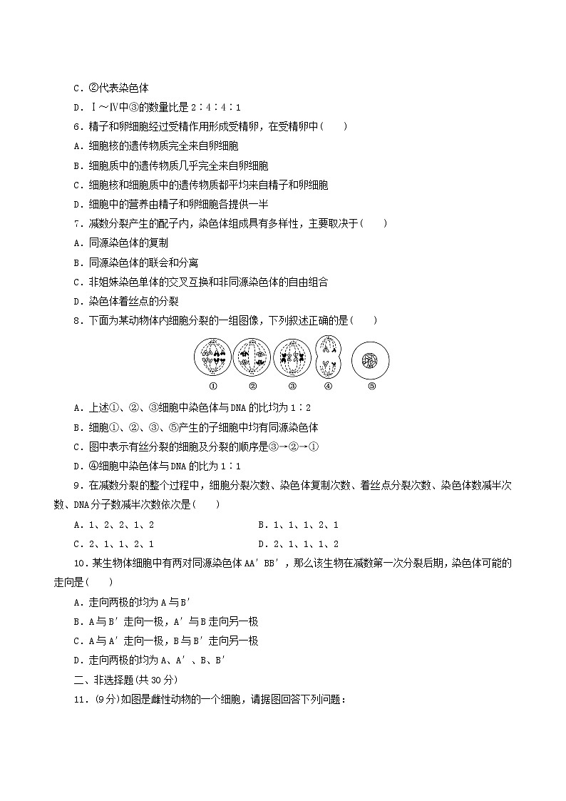 人教版高中生物必修2课时达标训练3减数分裂和受精作用含答案第2页
