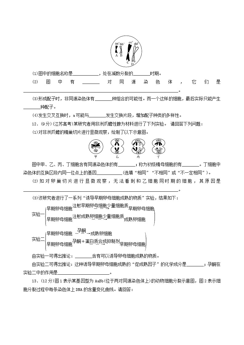 人教版高中生物必修2课时达标训练3减数分裂和受精作用含答案第3页
