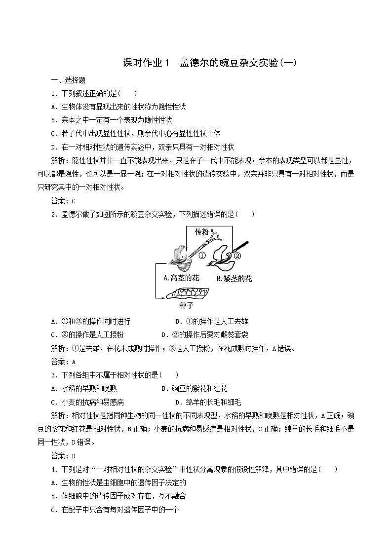 人教版高中生物必修2课时作业1孟德尔的豌豆杂交实验一含答案第1页
