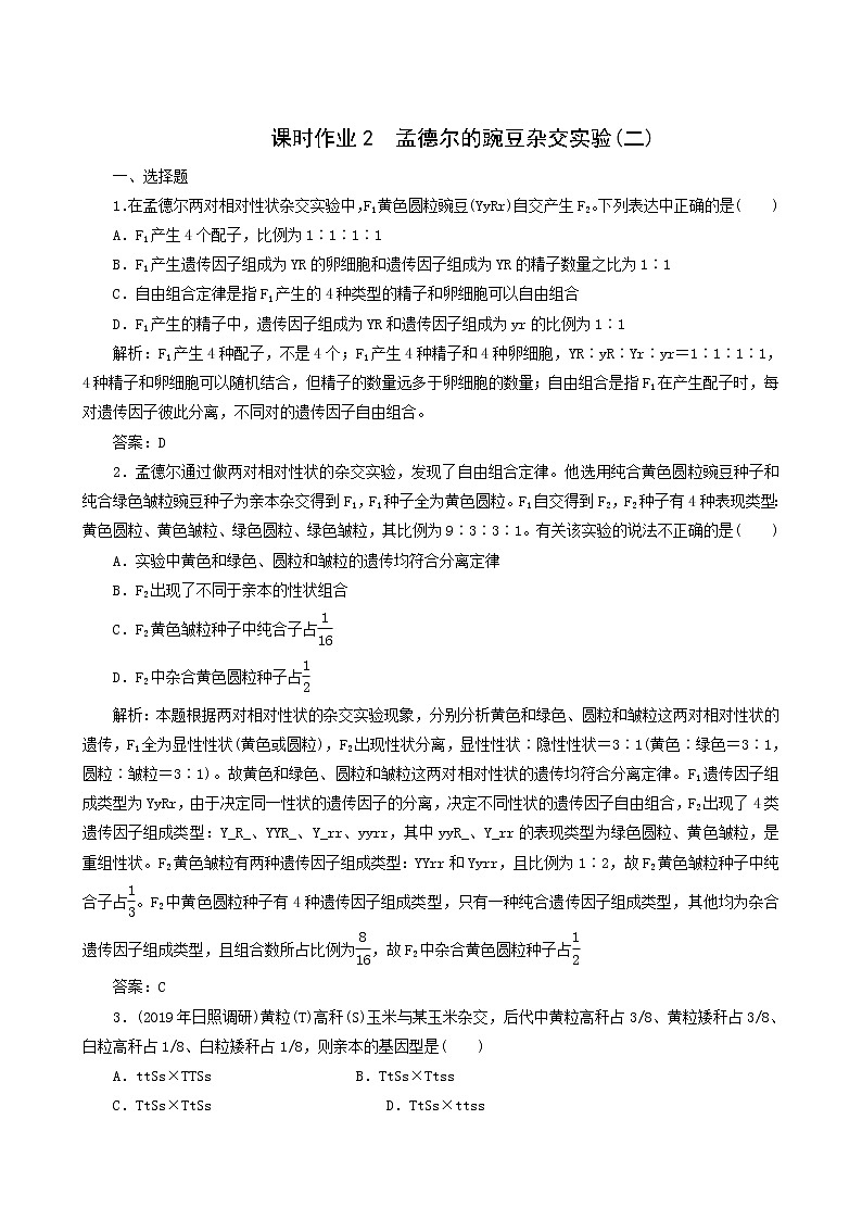 人教版高中生物必修2课时作业2孟德尔的豌豆杂交实验二含答案01