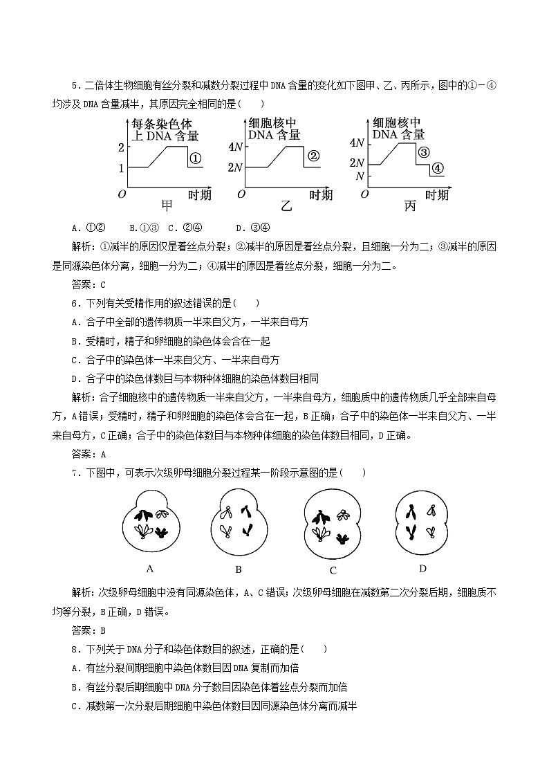 人教版高中生物必修2课时作业3减数分裂和受精作用含答案02