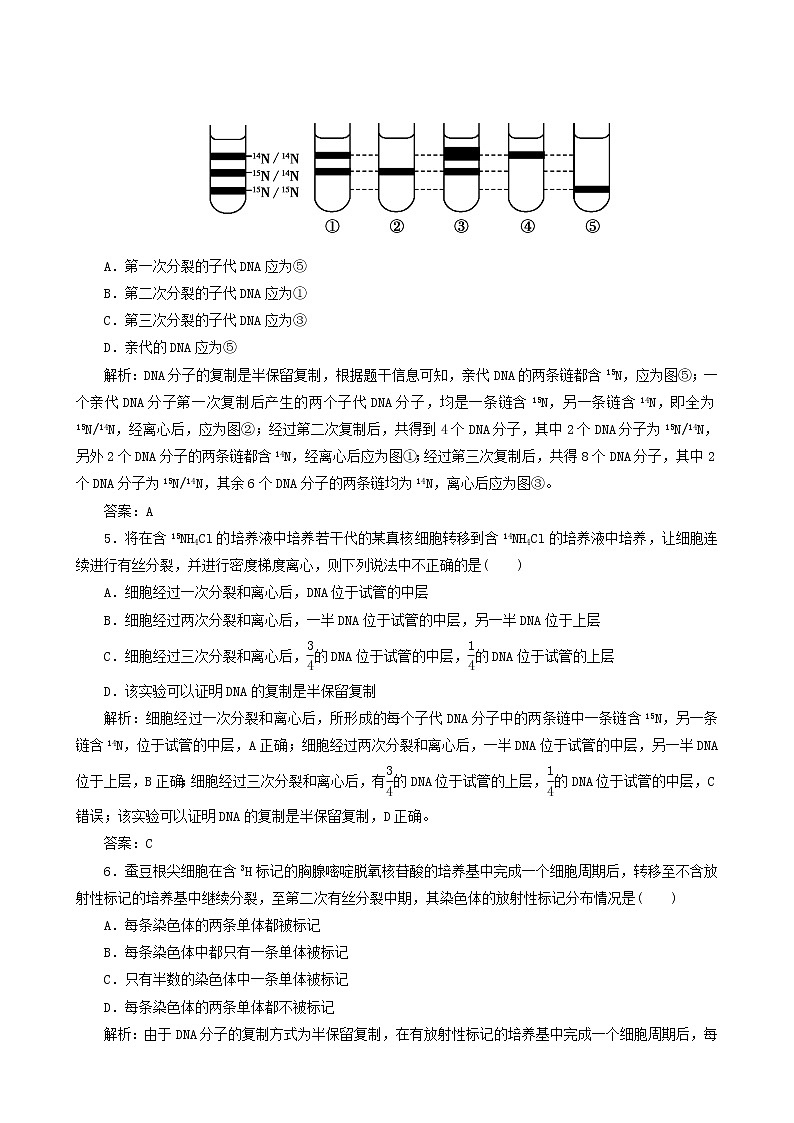 人教版高中生物必修2课时作业8dna分子的复制含答案第2页