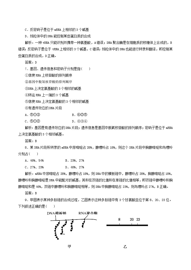 人教版高中生物必修2课时作业10基因指导蛋白质的合成含答案第3页