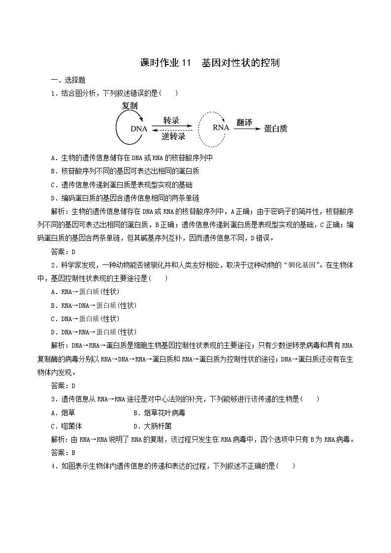 人教版高中生物必修2课时作业11基因对性状的控制含答案01