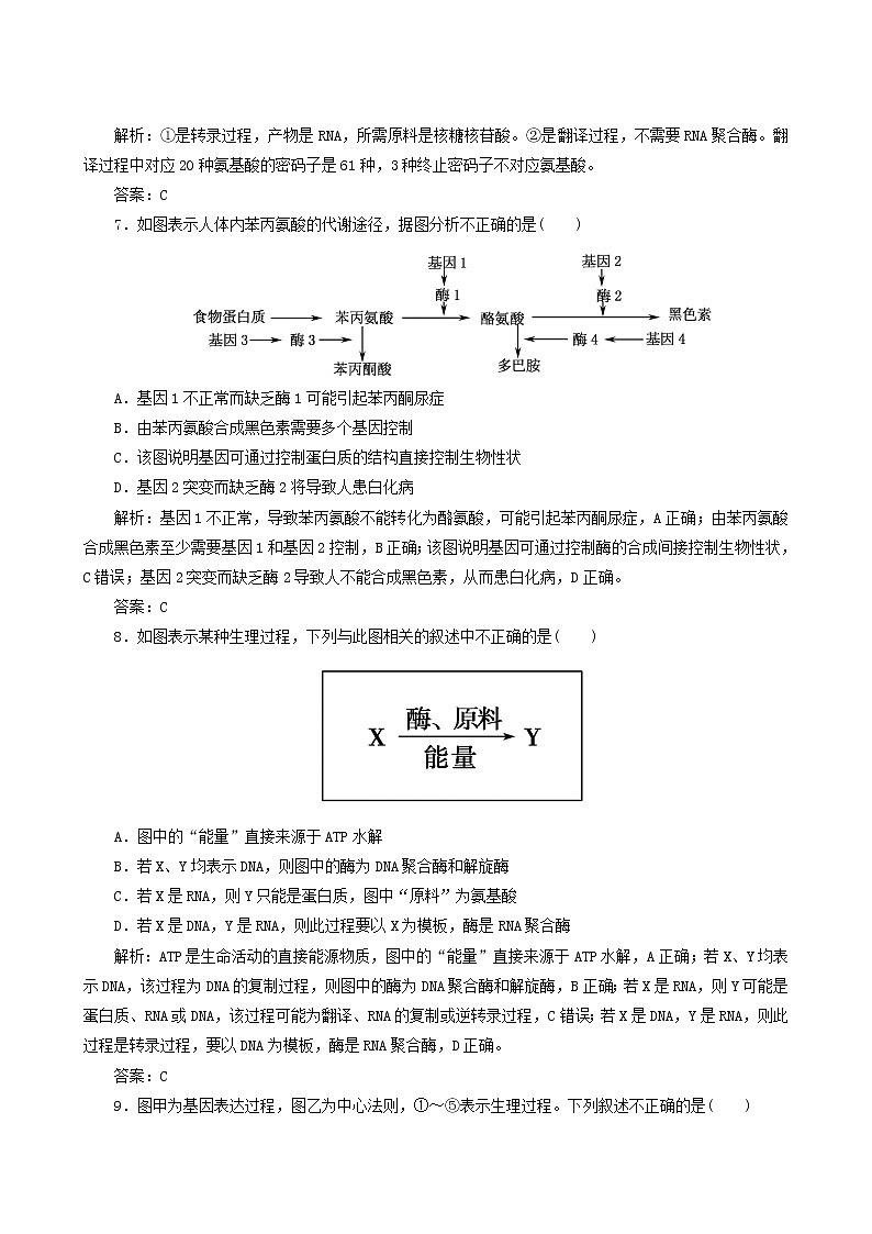 人教版高中生物必修2课时作业11基因对性状的控制含答案03