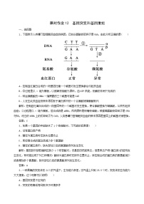 人教版 (2019)必修2《遗传与进化》第1节 基因突变和基因重组一课一练