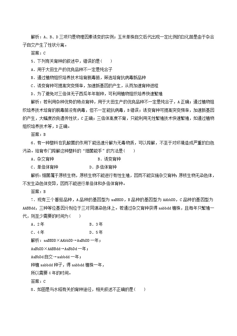 人教版高中生物必修2课时作业15杂交育种与诱变育种含答案第2页