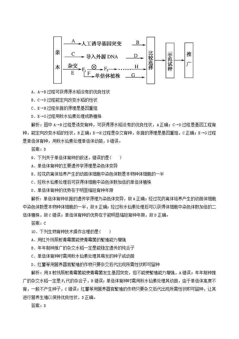 人教版高中生物必修2课时作业15杂交育种与诱变育种含答案第3页