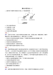 人教版 (2019)必修2《遗传与进化》第4章 基因的表达第2节 基因表达与性状的关系课时练习