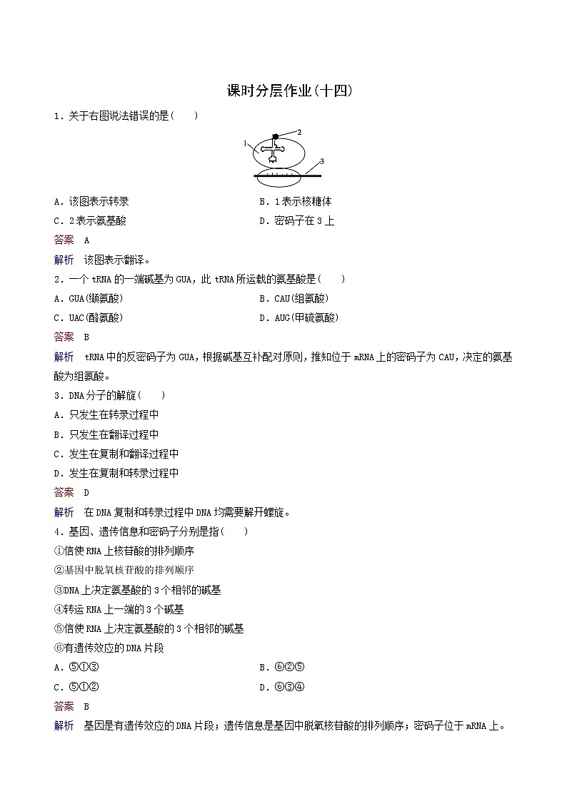 人教版高中生物必修2同步作业14基因指导蛋白质的合成含答案01