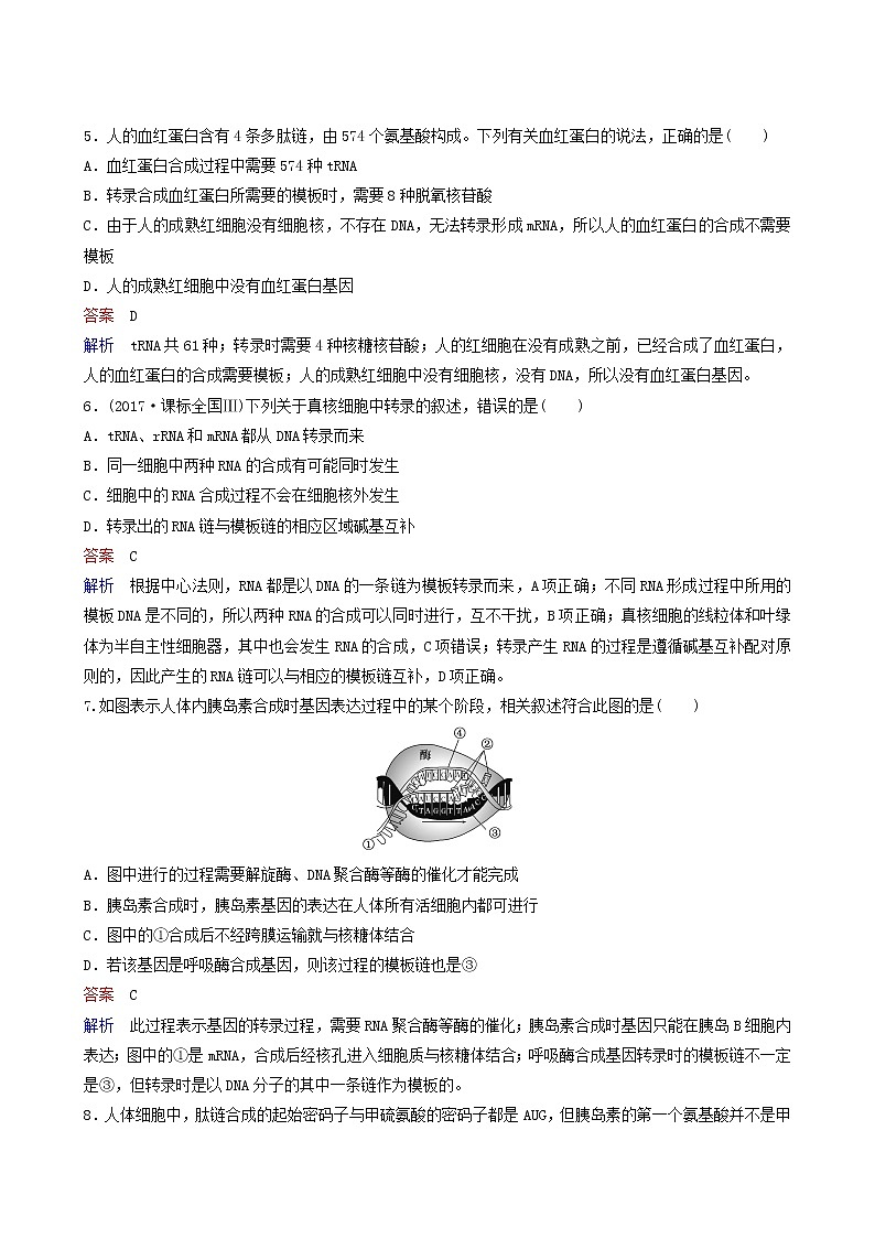 人教版高中生物必修2同步作业14基因指导蛋白质的合成含答案02