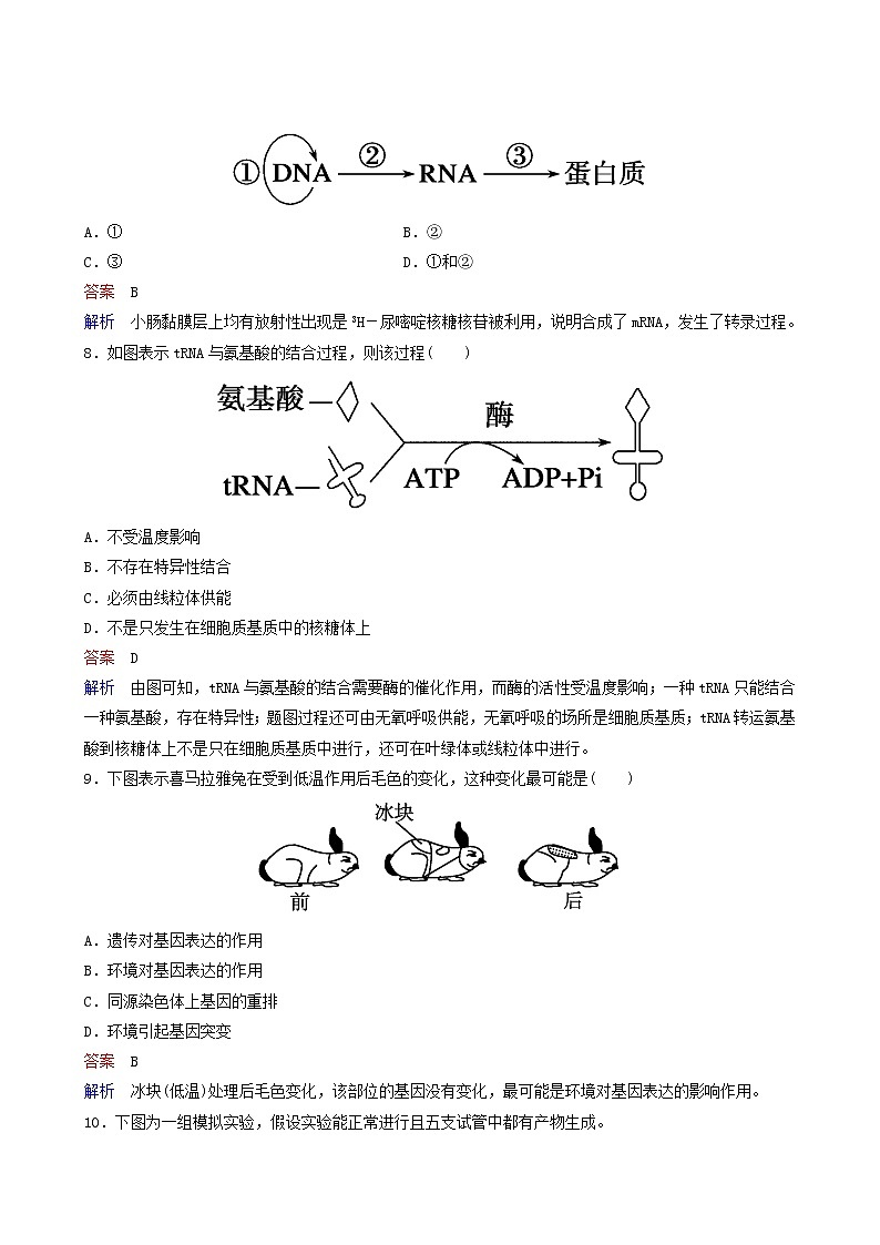 人教版高中生物必修2同步作业15基因对性状的控制含答案第3页