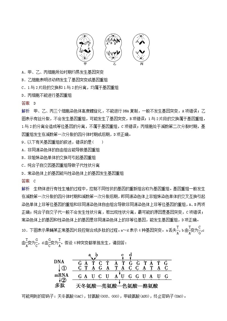 人教版高中生物必修2同步作业16基因突变和基因重组含答案第3页