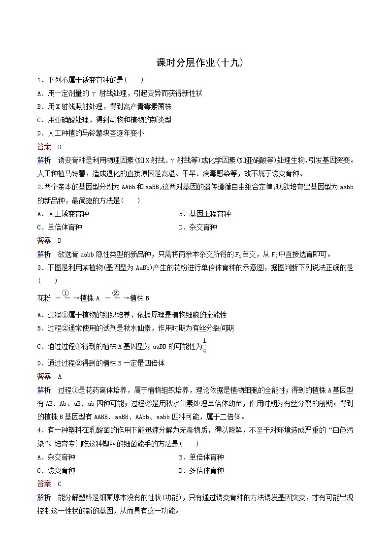 人教版高中生物必修2同步作业19杂交育种与诱变育种含答案第1页