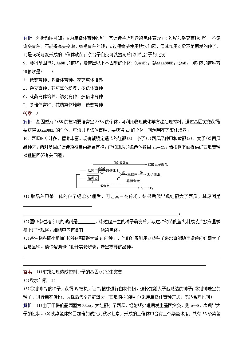 人教版高中生物必修2同步作业19杂交育种与诱变育种含答案第3页