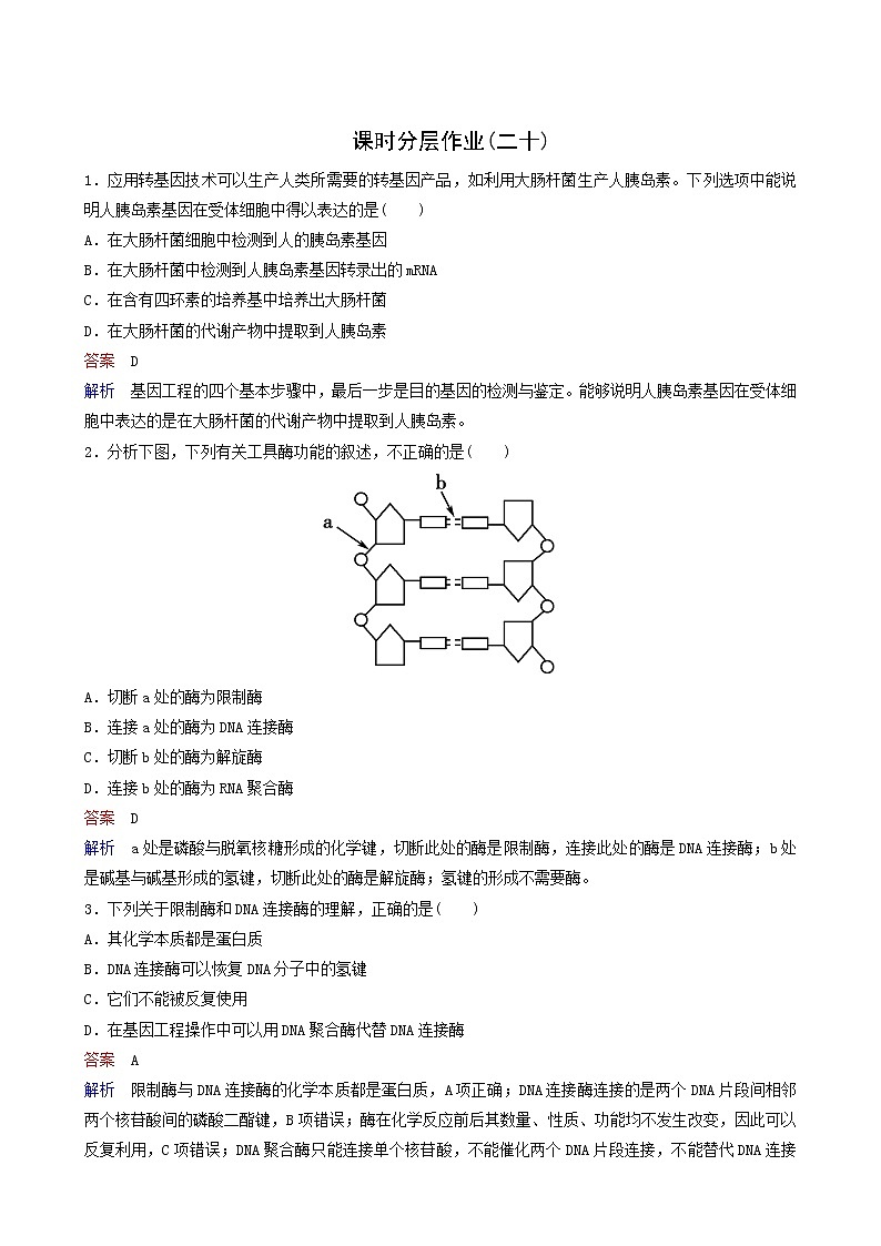 人教版高中生物必修2同步作业20基因工程及其应用含答案第1页