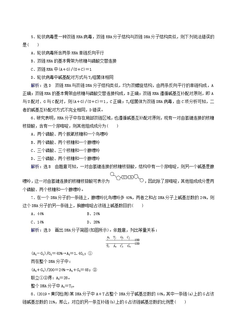 人教版高中生物必修2第2节dna分子的结构练习含答案第2页