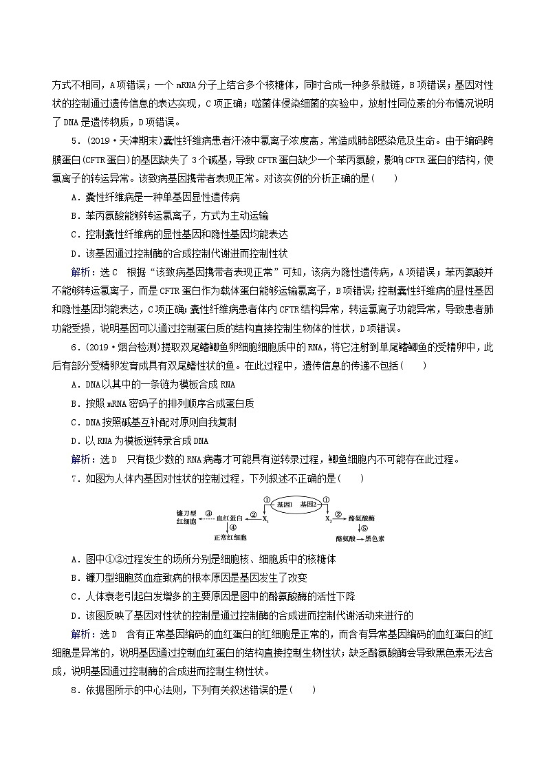人教版高中生物必修2第4章基因的表达第2节基因对性状的控制练习含答案第2页