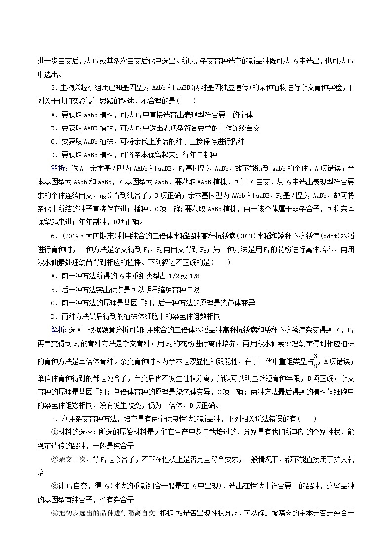 人教版高中生物必修2第6章从杂交育种到基因工程第1节杂交育种与诱变育种练习含答案第2页