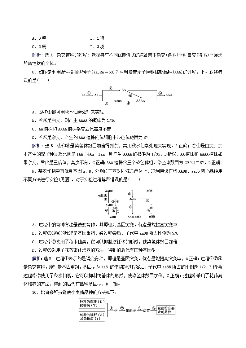 人教版高中生物必修2第6章从杂交育种到基因工程第1节杂交育种与诱变育种练习含答案第3页