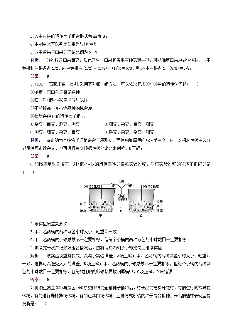 人教版高中生物必修2第1章遗传因子的发现第1节孟德尔的豌豆杂交实验一课时作业含答案第2页
