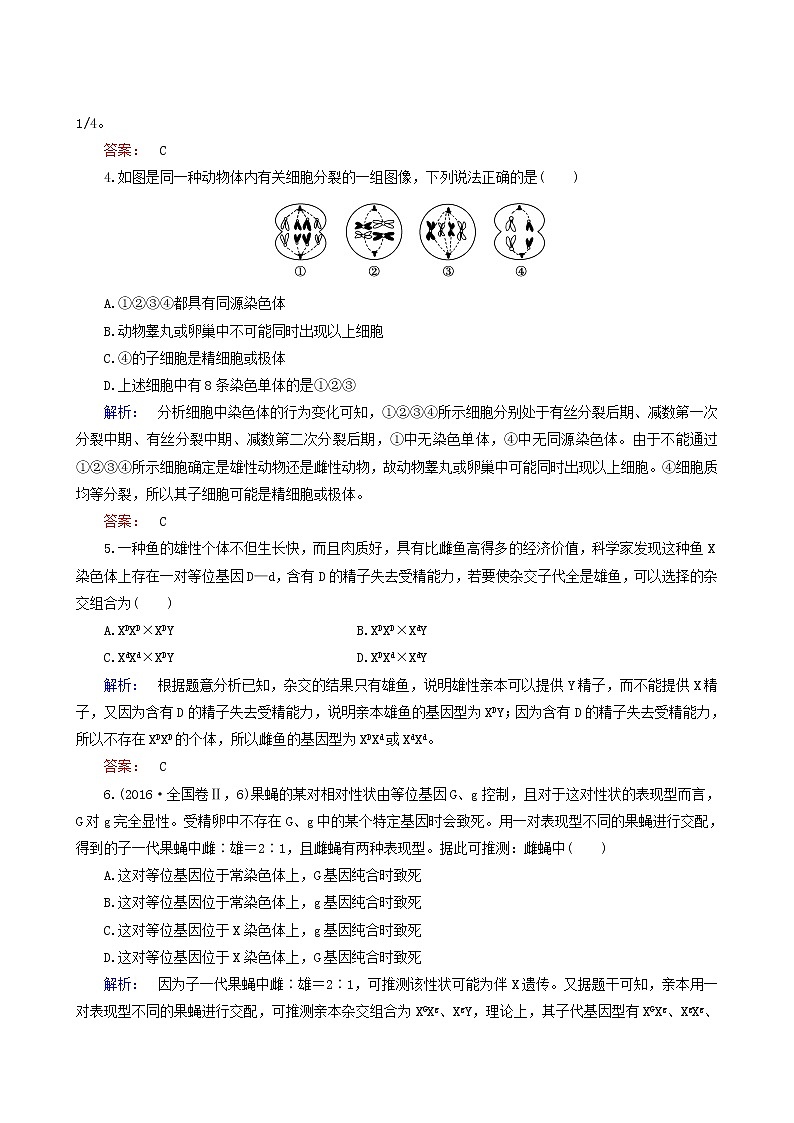 人教版高中生物必修2第2章基因和染色体的关系阶段质量评估2含答案 试卷02