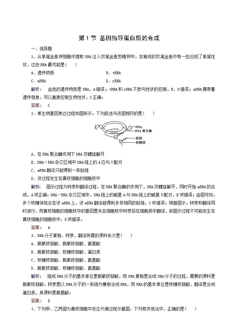 人教版高中生物必修2第4章基因的表达第1节基因指导蛋白质的合成课时作业含答案01