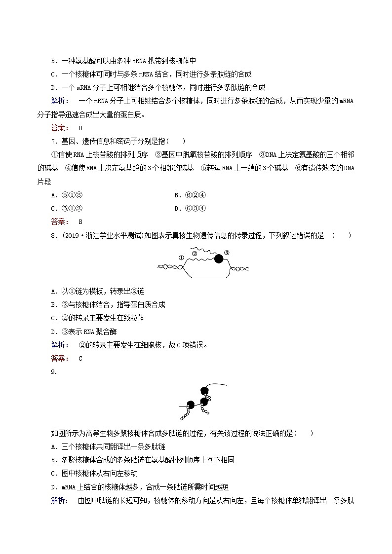 人教版高中生物必修2第4章基因的表达第1节基因指导蛋白质的合成课时作业含答案03