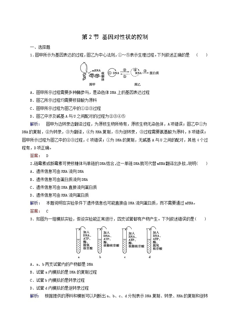 人教版高中生物必修2第4章基因的表达第2节基因对性状的控制课时作业含答案第1页