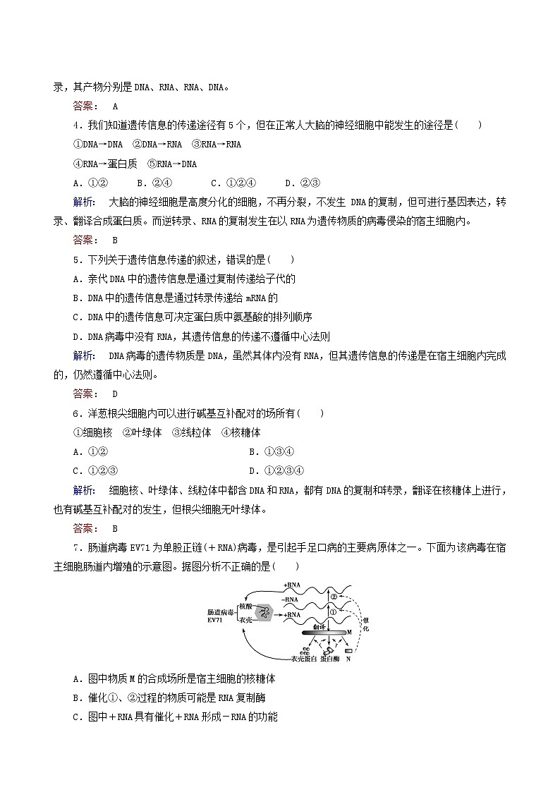 人教版高中生物必修2第4章基因的表达第2节基因对性状的控制课时作业含答案第2页