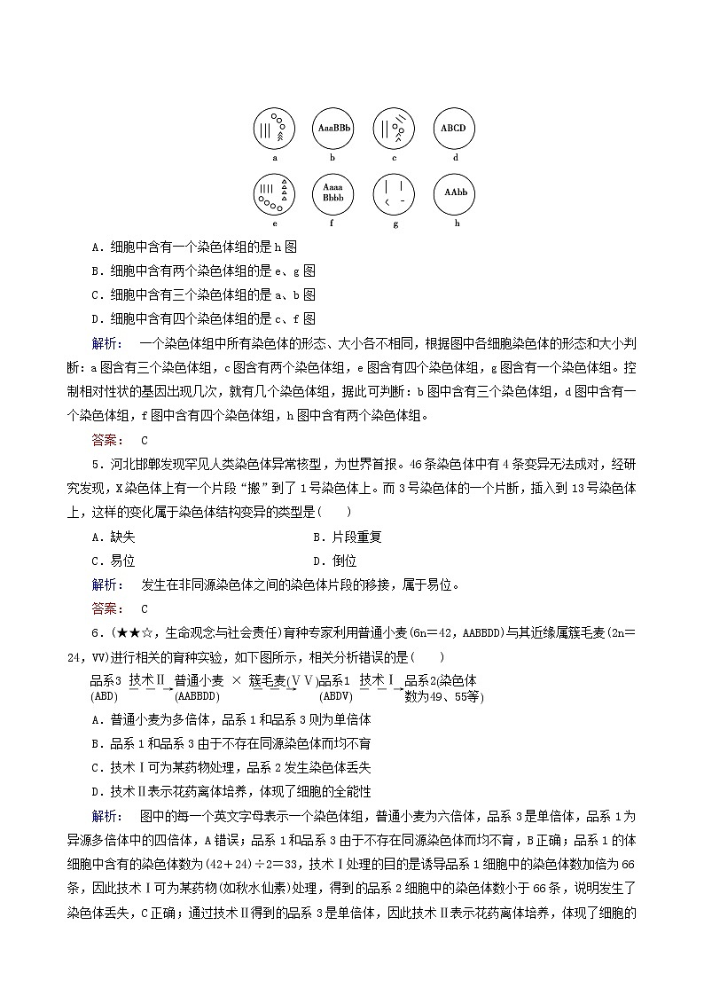 人教版高中生物必修2第5章基因突变及其他变异第2节染色体变异染色体变异课时作业含答案第2页