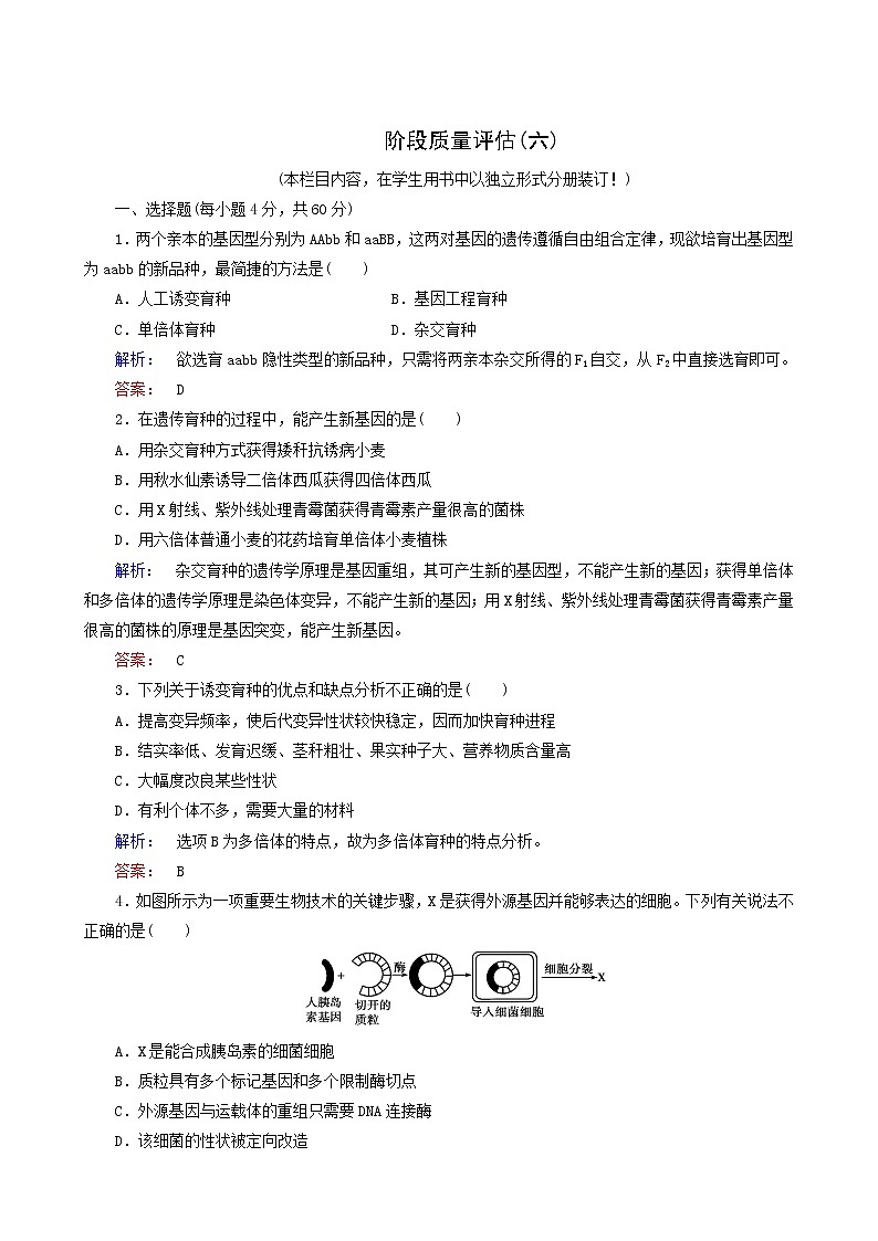 人教版高中生物必修2第6章从杂交育种到基因工程阶段质量评估6含答案 试卷01