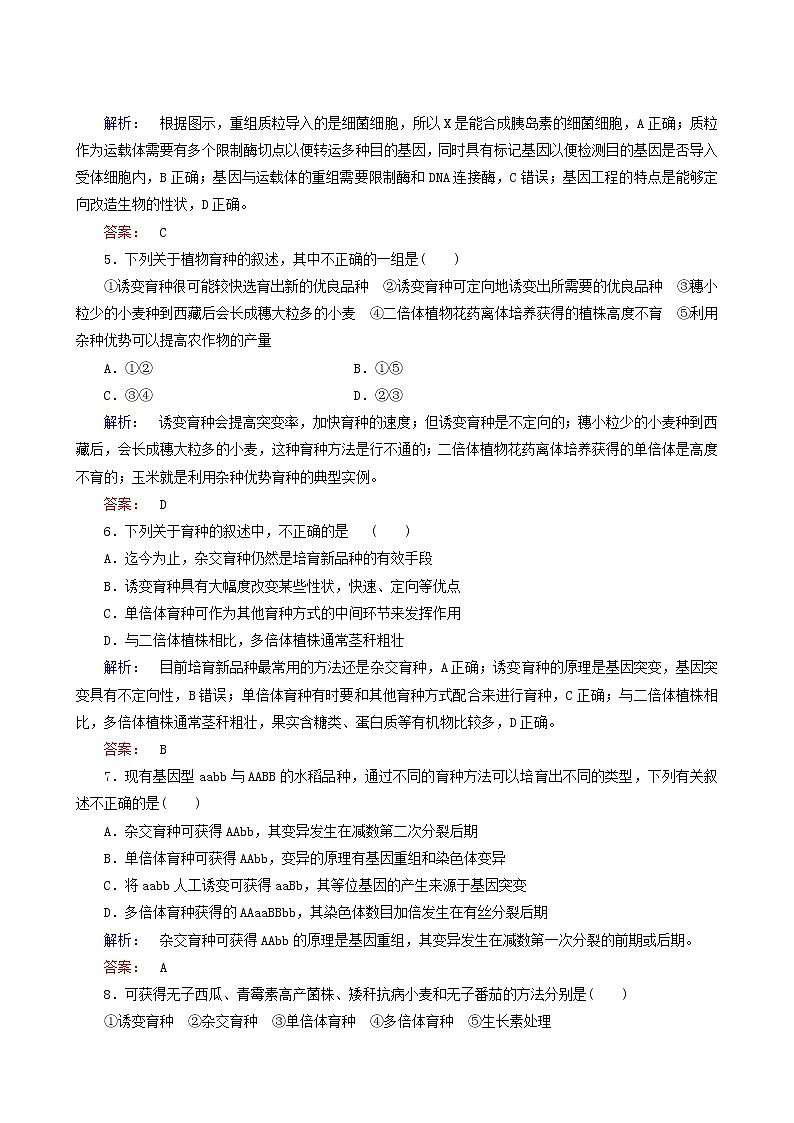 人教版高中生物必修2第6章从杂交育种到基因工程阶段质量评估6含答案 试卷02