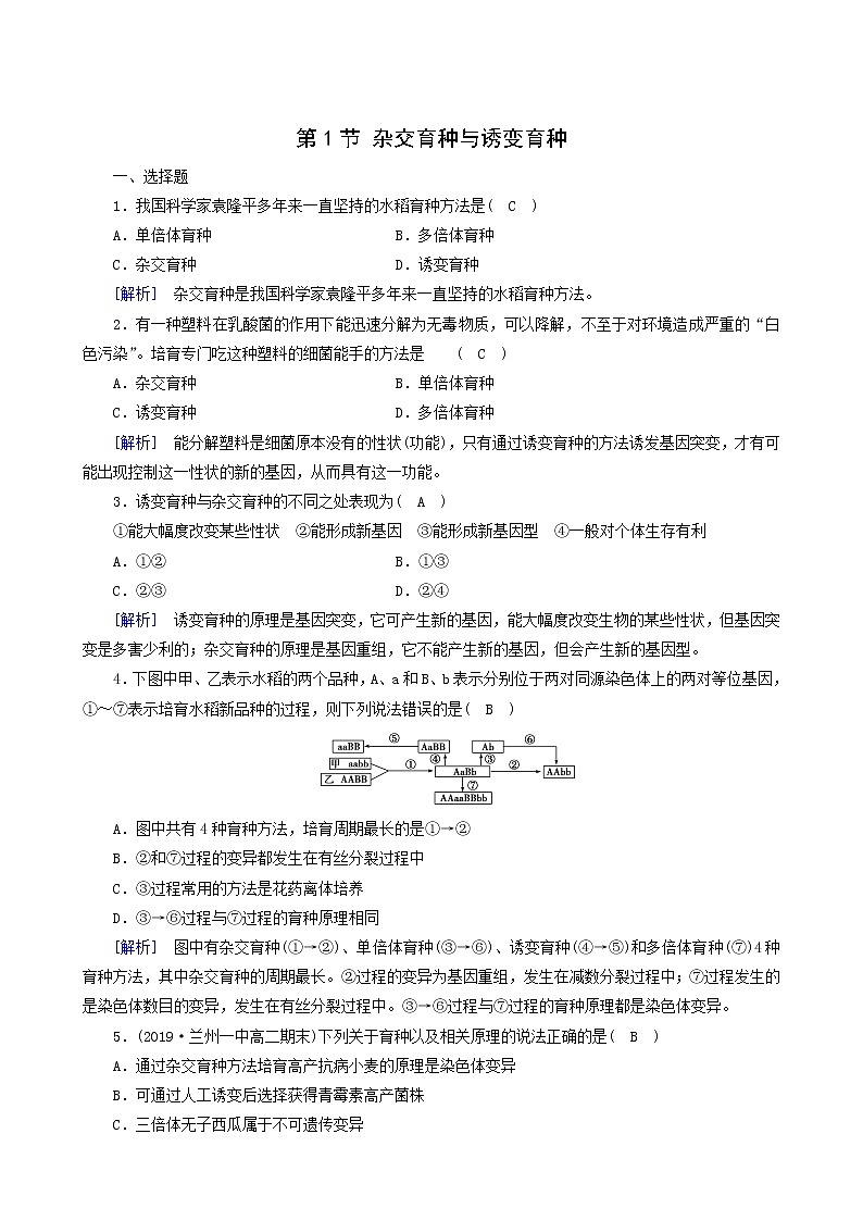 人教版高中生物必修2第6章从杂交育种到基因工程第1节杂交育种与诱变育种训练含答案第1页