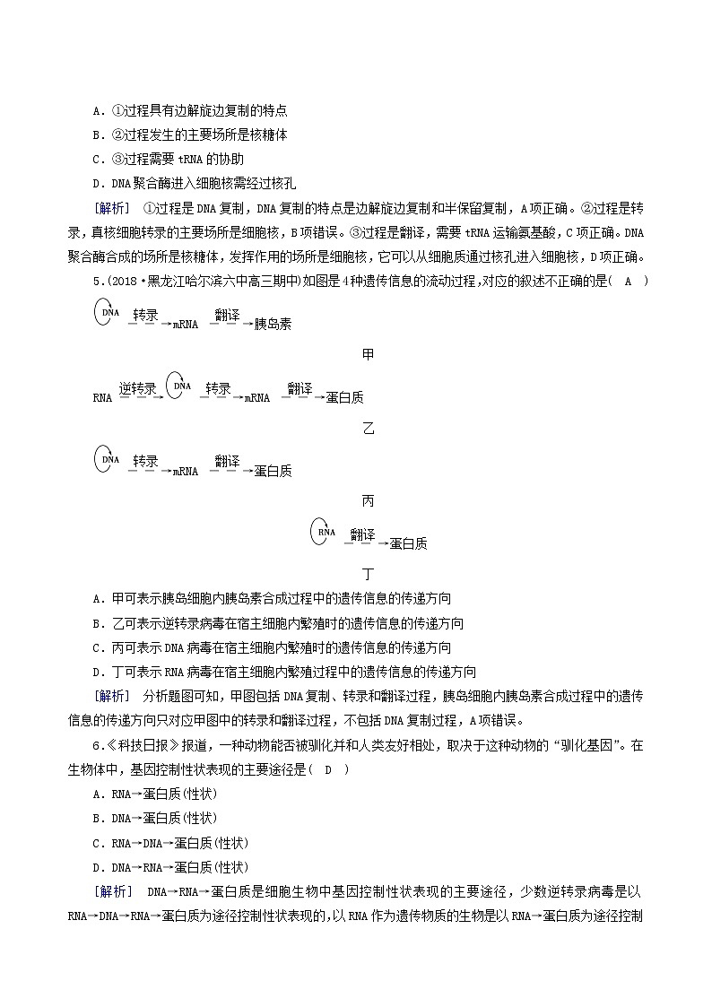 人教版高中生物必修2第4章基因的表达第2节基因对性状的控制练习含答案第2页