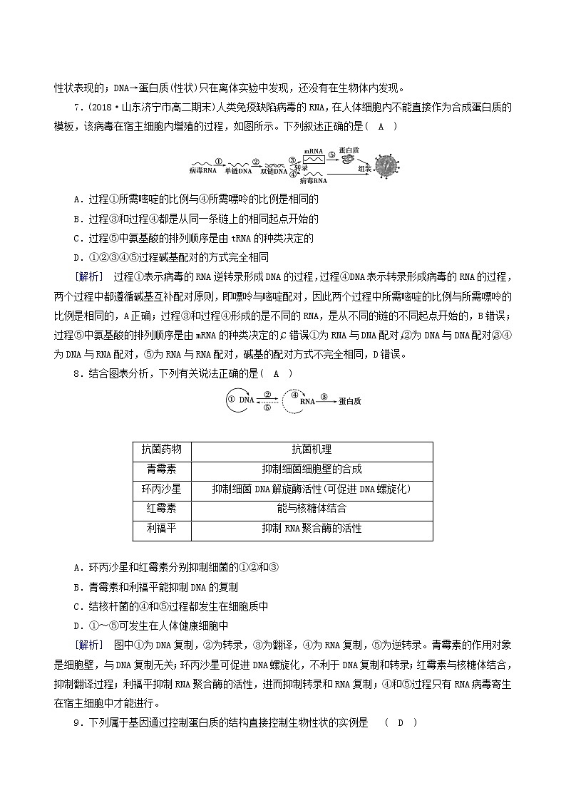 人教版高中生物必修2第4章基因的表达第2节基因对性状的控制练习含答案第3页