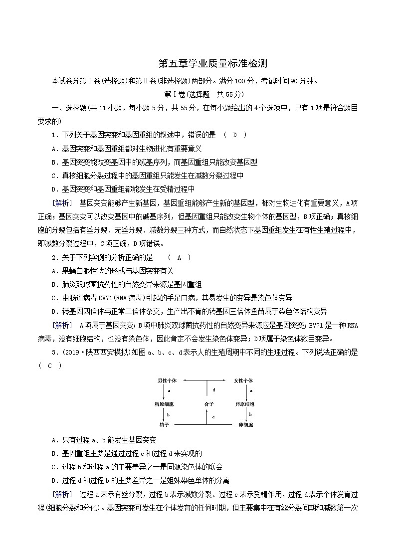 人教版高中生物必修2第5章基因突变及其他变异学业质量标准检测含答案01