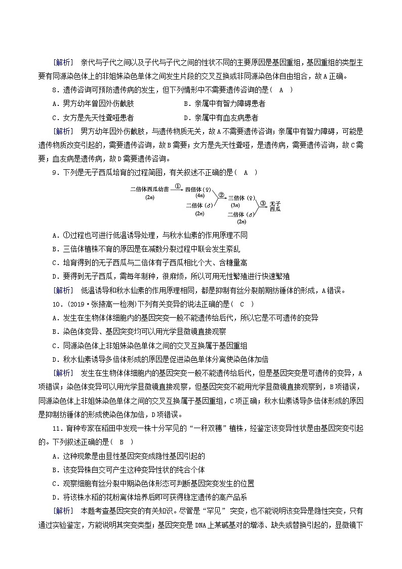 人教版高中生物必修2第5章基因突变及其他变异学业质量标准检测含答案03