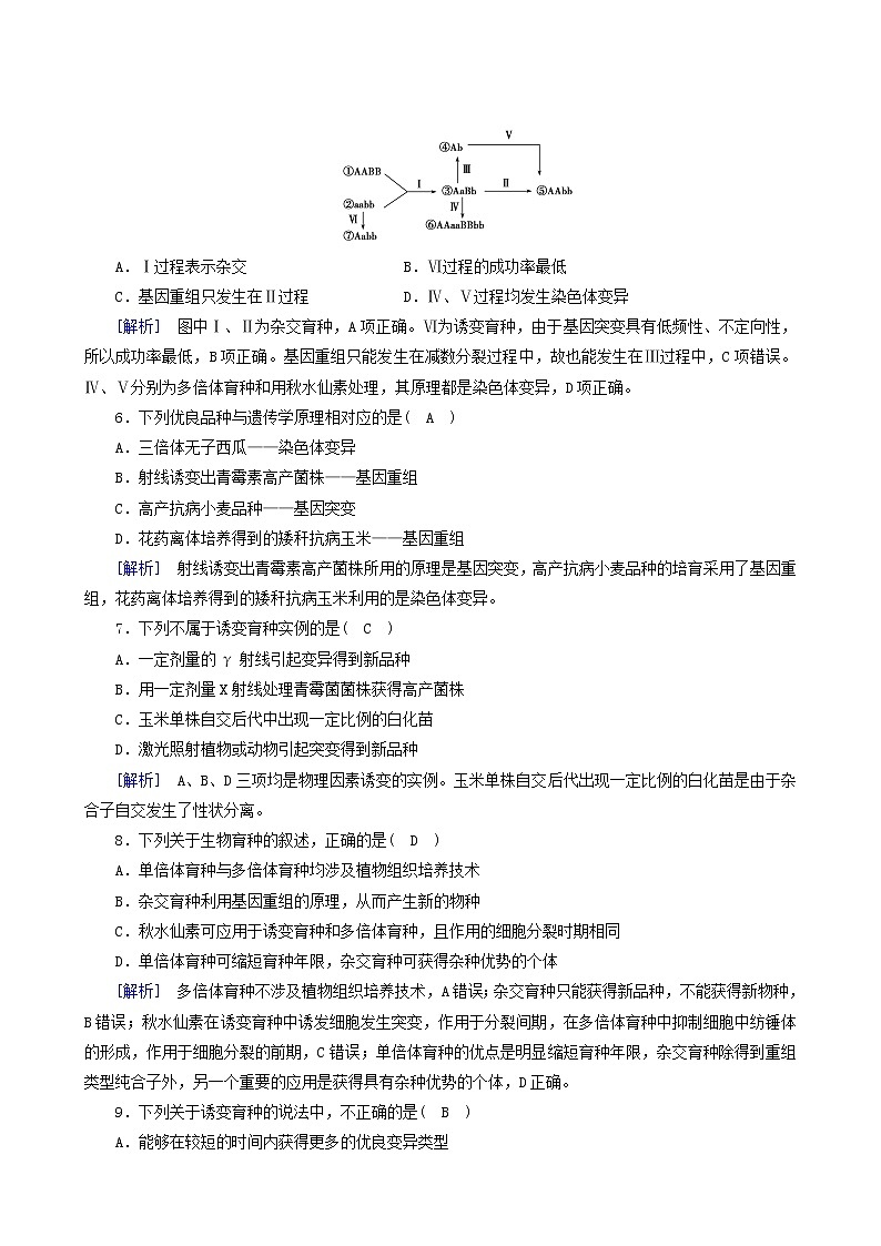 人教版高中生物必修2第6章从杂交育种到基因工程第1节杂交育种与诱变育种练习含答案第2页