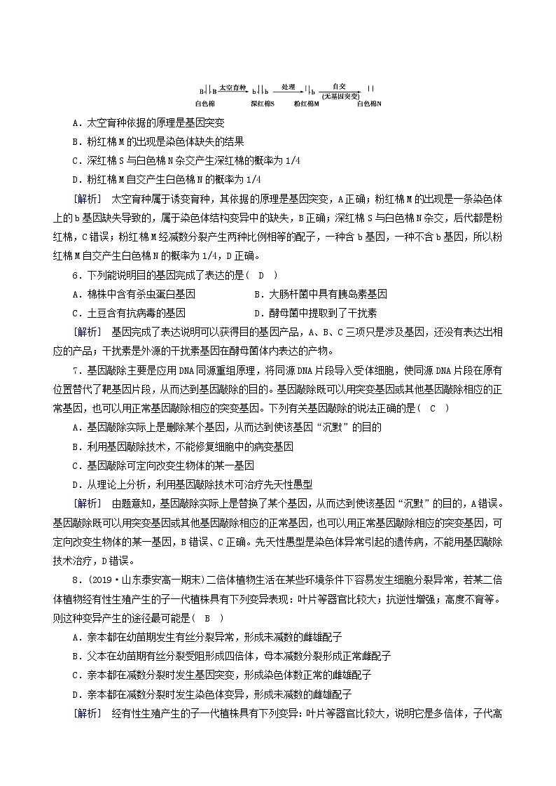 人教版高中生物必修2第6章从杂交育种到基因工程学业质量标准检测含答案02