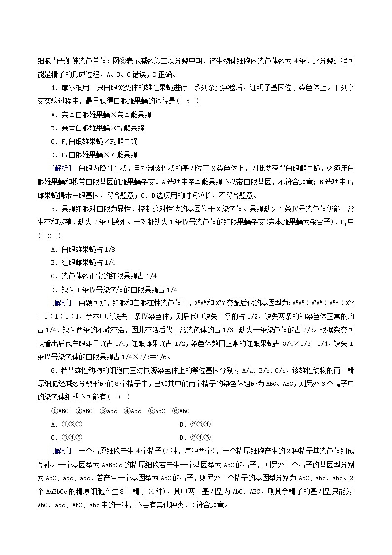 人教版高中生物必修2第2章基因和染色体的关系学业质量标准检测含答案02