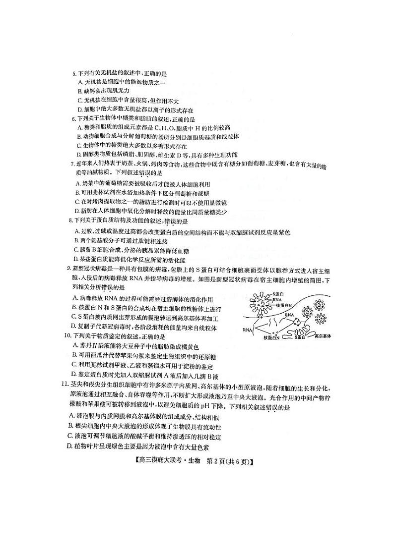 洛阳市强基联盟2023届新高三摸底大联考生物试题含答案第2页