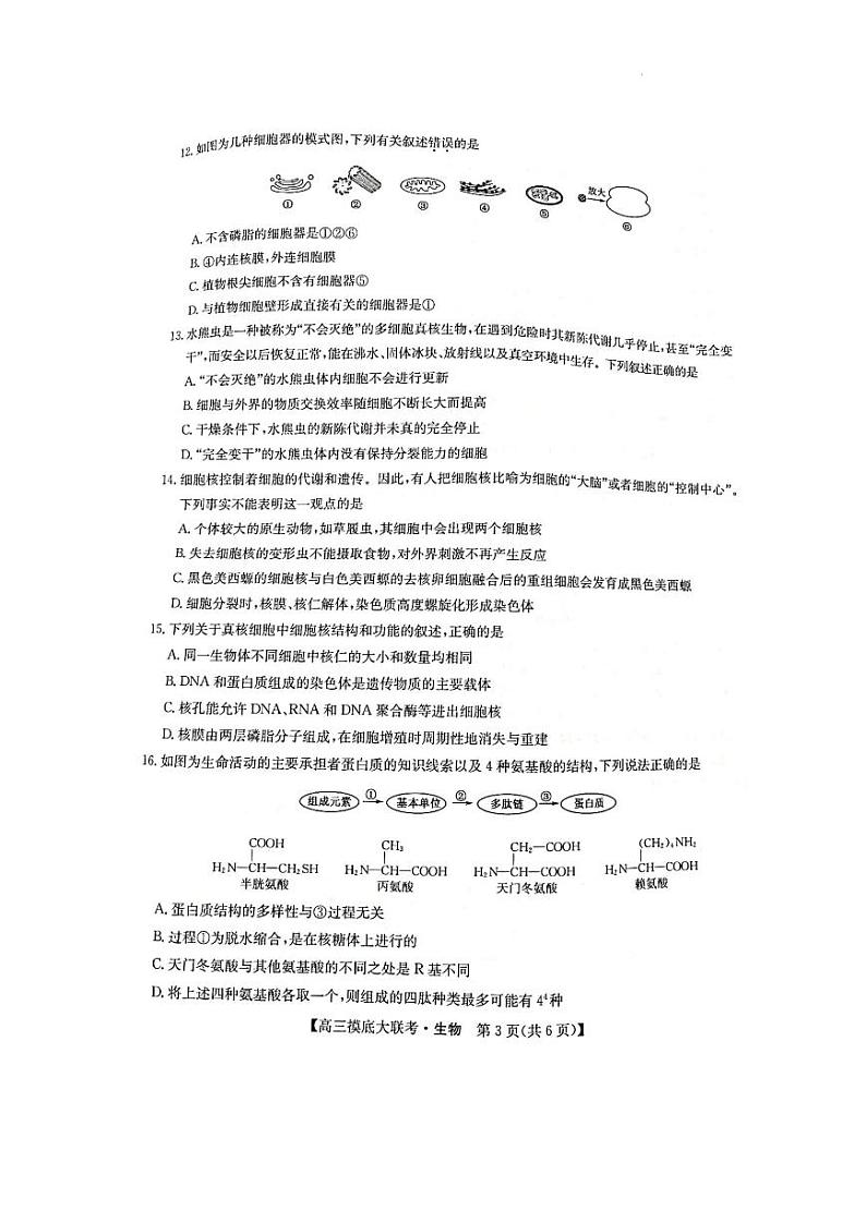 洛阳市强基联盟2023届新高三摸底大联考生物试题含答案第3页