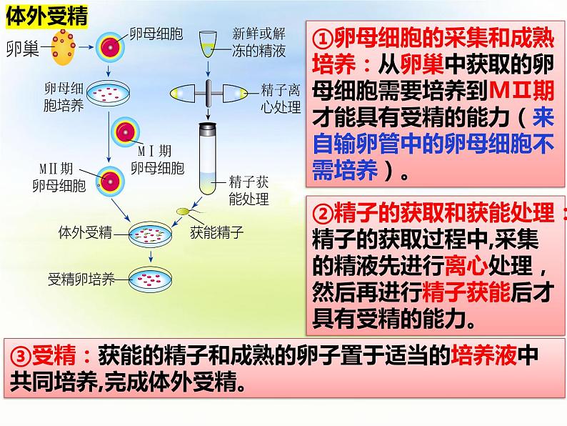 2.3.2 胚胎工程技术及其应用  第二课时第1页