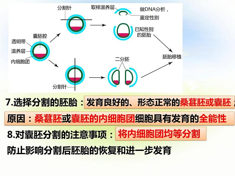 2.3.2 胚胎工程技术及其应用  第二课时第7页