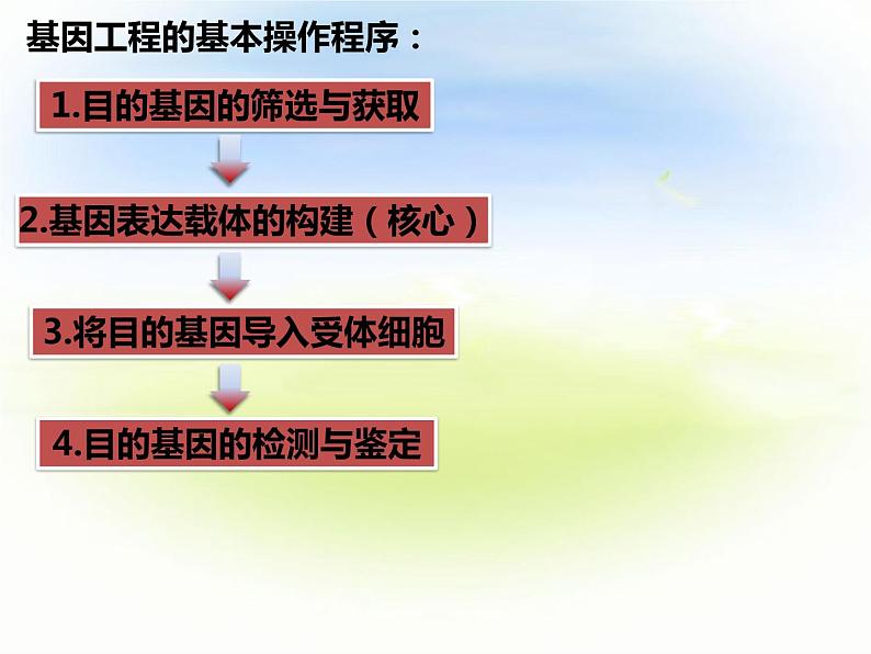 3.2基因工程的基本操作程序 第二课时 课件03
