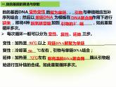 3.2基因工程的基本操作程序 第二课时 课件