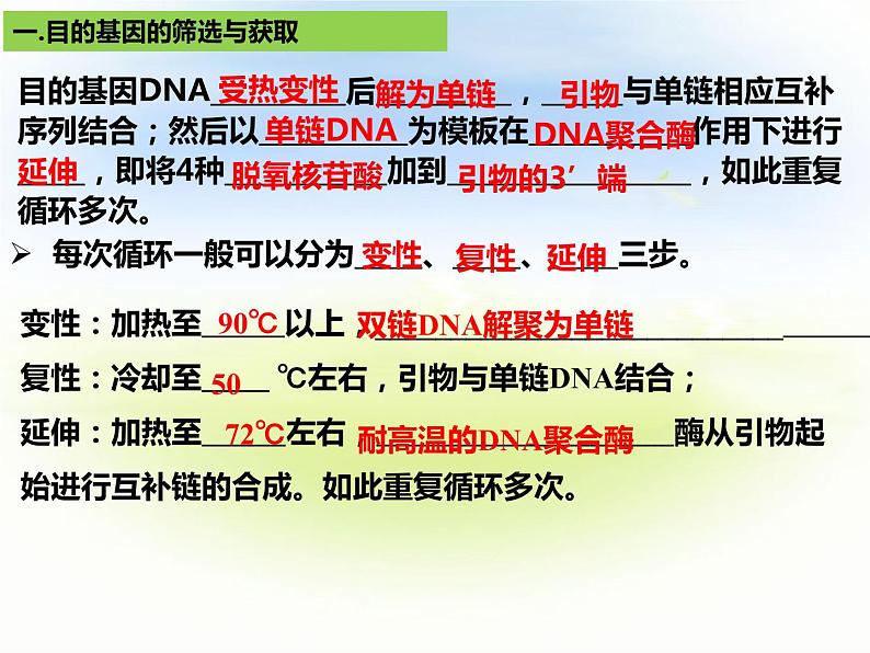 3.2基因工程的基本操作程序 第二课时 课件04