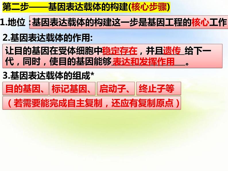 3.2基因工程的基本操作程序 第二课时 课件06