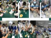 高中生物 微生物探究实验设计 探究性实验的一般方法（以微生物实验为例） 课件